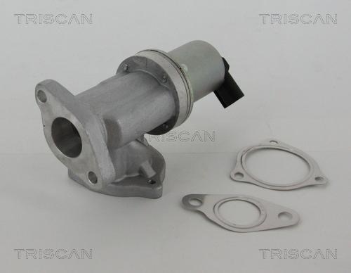 Triscan 8813 43002 - Клапан повернення ОГ autocars.com.ua