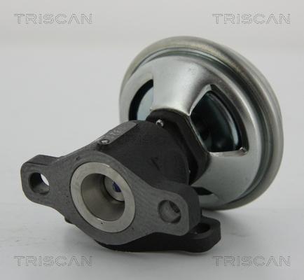 Triscan 8813 43003 - Клапан повернення ОГ autocars.com.ua