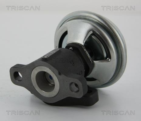 Triscan 8813 43005 - Клапан повернення ОГ autocars.com.ua