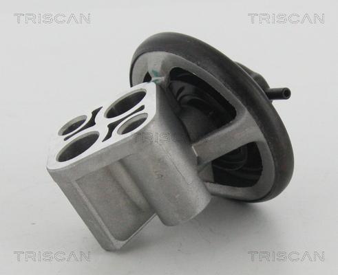 Triscan 8813 43007 - Клапан повернення ОГ autocars.com.ua