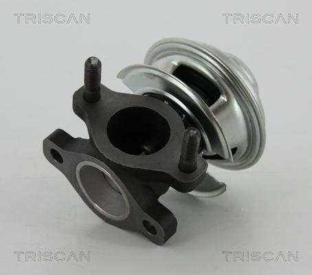 Triscan 8813 43008 - Клапан повернення ОГ autocars.com.ua
