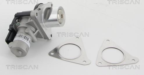 Triscan 8813 43010 - Клапан повернення ОГ autocars.com.ua