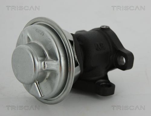 Triscan 8813 43022 - Клапан повернення ОГ autocars.com.ua