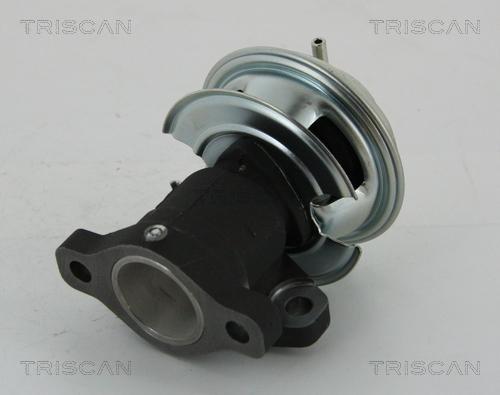 Triscan 8813 43201 - Клапан повернення ОГ autocars.com.ua