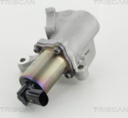 Triscan 8813 44009 - Клапан повернення ОГ autocars.com.ua