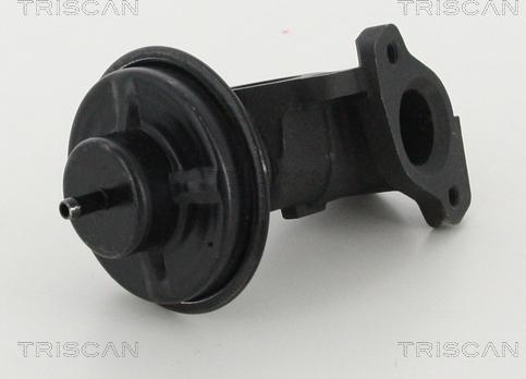 Triscan 8813 44020 - Клапан повернення ОГ autocars.com.ua