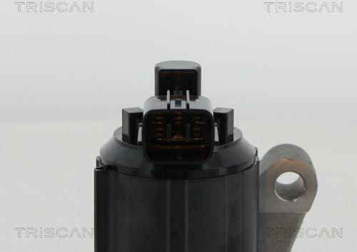 Triscan 8813 50015 - Клапан повернення ОГ autocars.com.ua