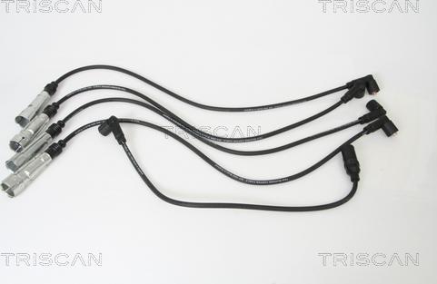 Triscan 8860 29013 - Комплект проводів запалювання autocars.com.ua