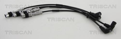 Triscan 8860 29031 - Комплект проводов зажигания autodnr.net