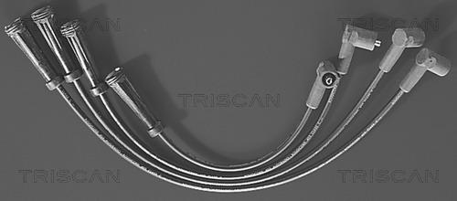 Triscan 8860 4162 - Комплект проводів запалювання autocars.com.ua