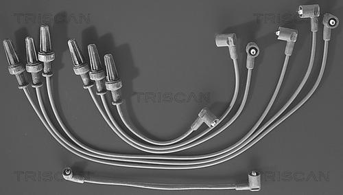 Triscan 8860 4319 - Комплект проводів запалювання autocars.com.ua