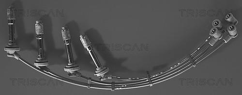 Triscan 8860 6102 - Комплект проводів запалювання autocars.com.ua