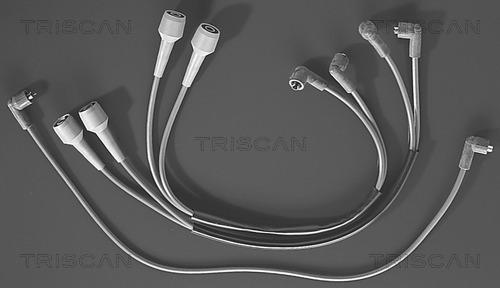 Triscan 8860 6201 - Комплект проводів запалювання autocars.com.ua
