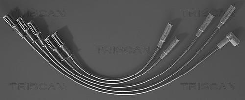 Triscan 8860 7277 - Комплект проводов зажигания autodnr.net