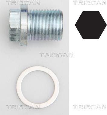 Triscan 9500 1002 - Резьбовая пробка, масляный поддон autodnr.net