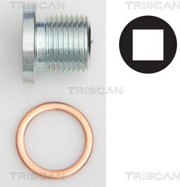 Triscan 9500 1004 - Резьбовая пробка, масляный поддон autodnr.net