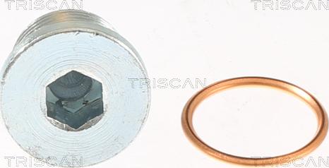 Triscan 9500 1007 - Резьбовая пробка, масляний піддон autocars.com.ua