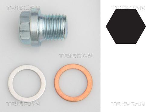 Triscan 9500 1011 - Резьбовая пробка, масляный поддон autodnr.net