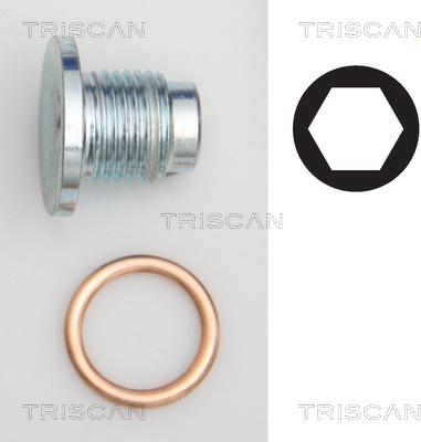 Triscan 9500 1019 - Резьбовая пробка, масляный поддон autodnr.net