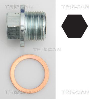 Triscan 9500 1022 - Резьбовая пробка, масляный поддон autodnr.net
