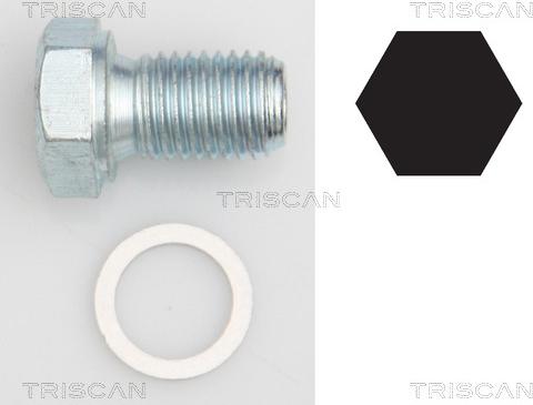 Triscan 9500 1101 - Резьбовая пробка, масляный поддон autodnr.net