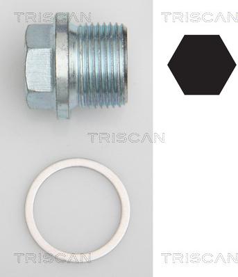 Triscan 9500 1102 - Резьбовая пробка, масляный поддон autodnr.net