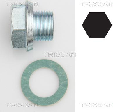 Triscan 9500 1301 - Резьбовая пробка, масляный поддон autodnr.net