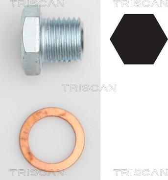 Triscan 9500 2402 - Резьбовая пробка, масляный поддон autodnr.net