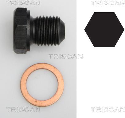 Triscan 9500 2902 - Резьбовая пробка, масляный поддон autodnr.net