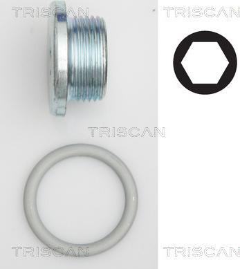 Triscan 9500 2904 - Резьбовая пробка, масляный поддон autodnr.net