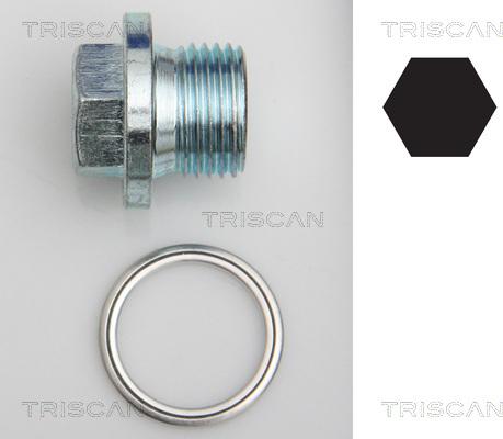 Triscan 9500 2905 - Резьбовая пробка, масляный поддон autodnr.net
