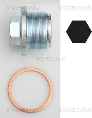 Triscan 9500 2908 - Резьбовая пробка, масляный поддон autodnr.net