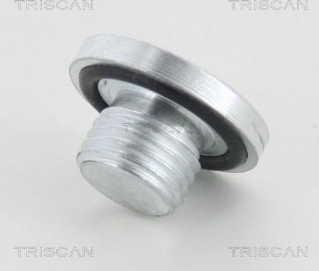 Triscan 95-0966 - Резьбовая пробка, масляный поддон autodnr.net