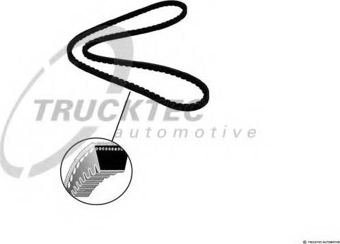 Trucktec Automotive 01.19.117 - Клиновий ремінь autocars.com.ua