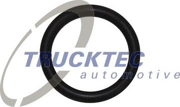 Trucktec Automotive 08.10.096 - Прокладка, указатель уровня масла autodnr.net