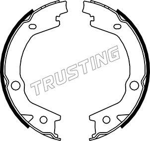 Trusting 046.220 - Комплект гальм, ручник, парковка autocars.com.ua