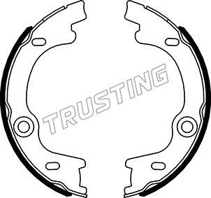 Trusting 049.169 - Комплект гальм, ручник, парковка autocars.com.ua