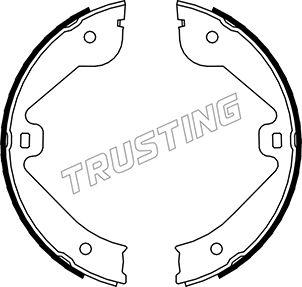 Trusting 052.131 - Комплект гальм, ручник, парковка autocars.com.ua