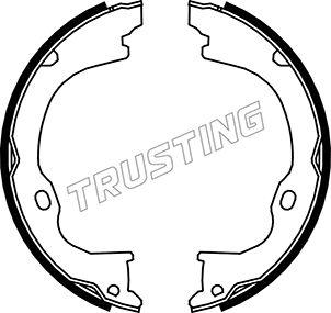 Trusting 088.238 - Комплект гальм, ручник, парковка autocars.com.ua