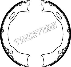 Trusting 088.239 - Комплект гальм, ручник, парковка autocars.com.ua