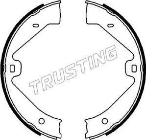 Trusting 124.289 - Комплект гальм, ручник, парковка autocars.com.ua