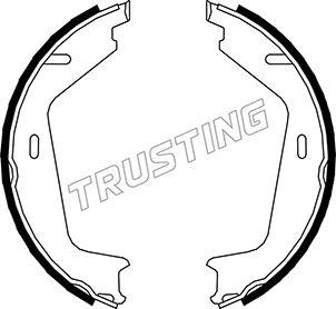 Trusting 127.273 - Комплект гальм, ручник, парковка autocars.com.ua