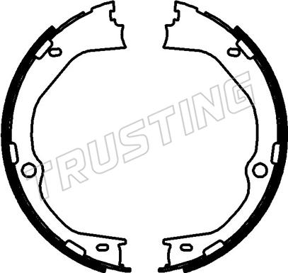 Trusting 253.780 - Комплект гальм, ручник, парковка autocars.com.ua