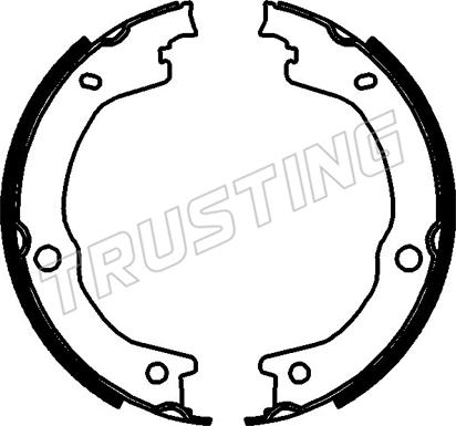 Trusting 253.788 - Комплект гальм, ручник, парковка autocars.com.ua