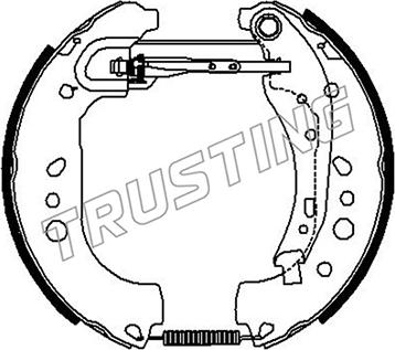 Trusting 6529 - Комплект тормозных колодок, барабанные autodnr.net