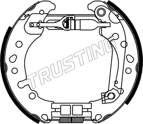 Trusting 653.0 - Комплект тормозных колодок, барабанные avtokuzovplus.com.ua