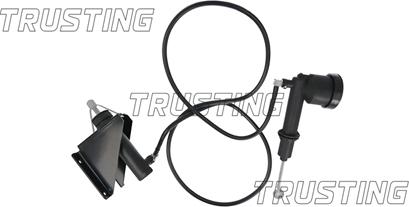 Trusting PZ249 - Головний циліндр, система зчеплення autocars.com.ua