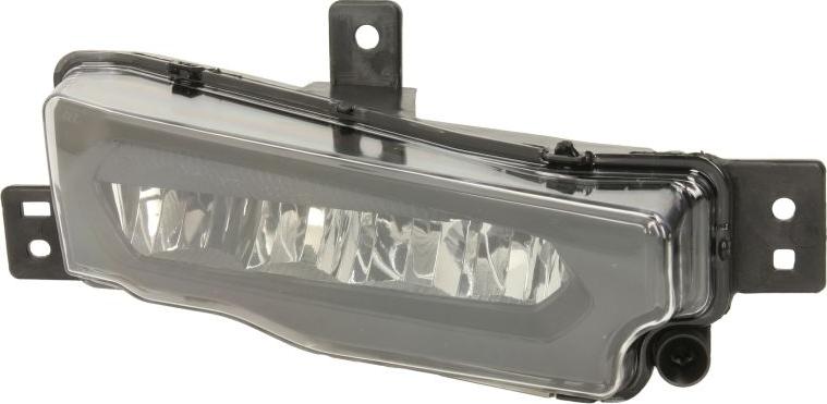 TYC 19-6219-10-9 - Противотуманная фара autocars.com.ua