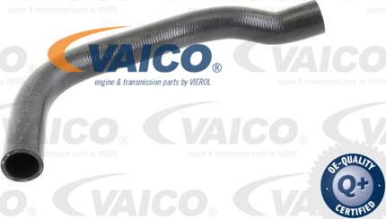 VAICO V100056 - Шланг радиатора autodnr.net