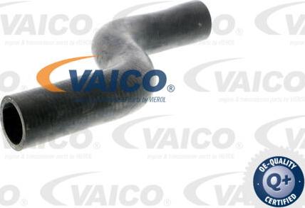 VAICO V100070 - Шланг радиатора autodnr.net